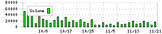 ジーエルテクノホールディングス(255A)の出来高