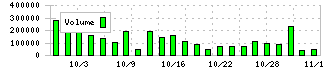飛島ホールディングス(256A)の出来高