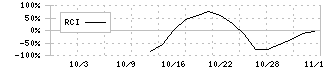 飛島ホールディングス(256A)のRCI